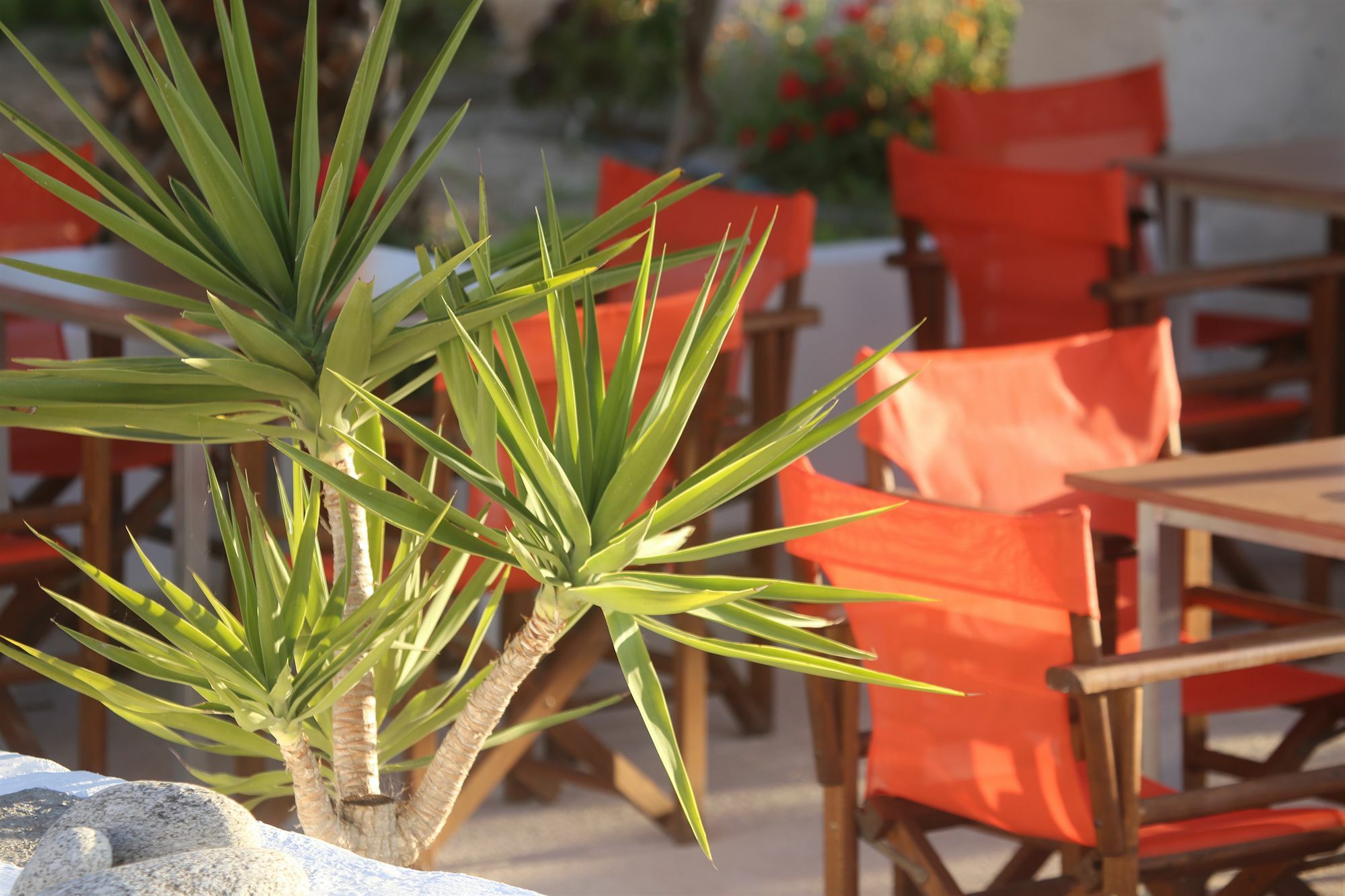 Oasis Rooms & Studios In Galissas Exterior foto